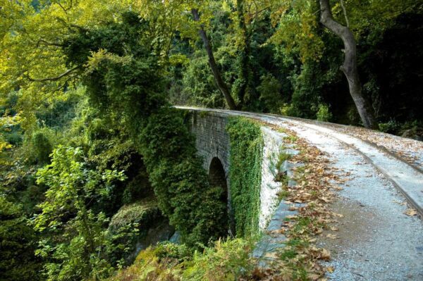 A road with ivy covered bridge on the side of it.